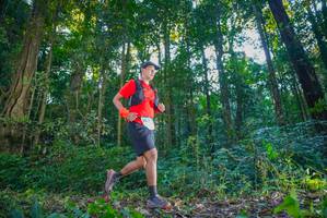 BIB: 3012
                            <button type="button" onclick="openModal(15908037)" class="btn btn-primary btn-sm float-right btn-popup" data-toggle="modal" data-target=".modal-high-quality">
                        <i class="fas fa-shopping-cart"></i> Add to Cart
                    </button>
                                            <button type="button" onclick="isThisMe(15908037, true)" class="btn btn-success btn-sm float-right btn-popup btn-isme hidden" data-toggle="tooltip" data-placement="bottom" title="นี่คือรูปของคุณใช่ไหม คลิกที่นี่เพื่อเอาเข้าอัลบั้ม">
                        <i class="fas fa-plus"></i> Add to album
                    </button>
                    <button type="button" onclick="isThisMe(15908037, false)" class="btn btn-warning btn-sm float-right btn-popup btn-isnotme hidden">
                        <i class="fas fa-ban"></i> Remove from album
                    </button>